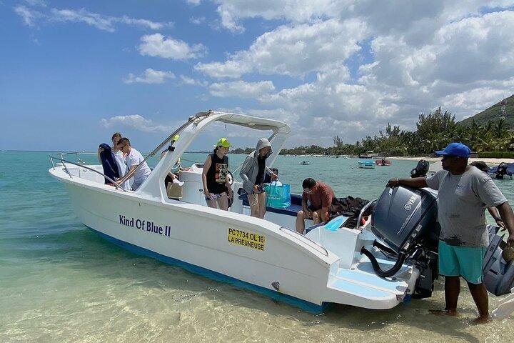 Exciting Dolphin encounters in the Maurtius's lagoon
