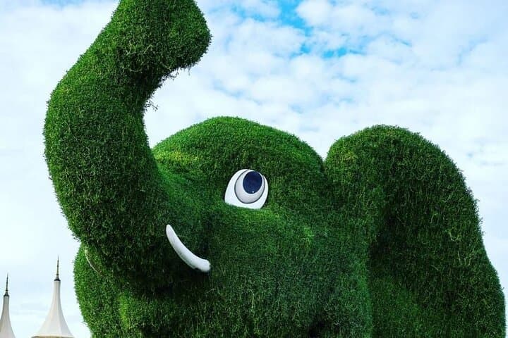 Dubai Miracle Garden Entry Tickets with Optional Transportation