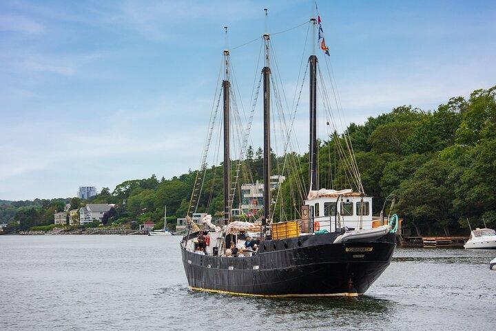 Tall Ship Silva Sailing Cruise Ft. a Live Musician