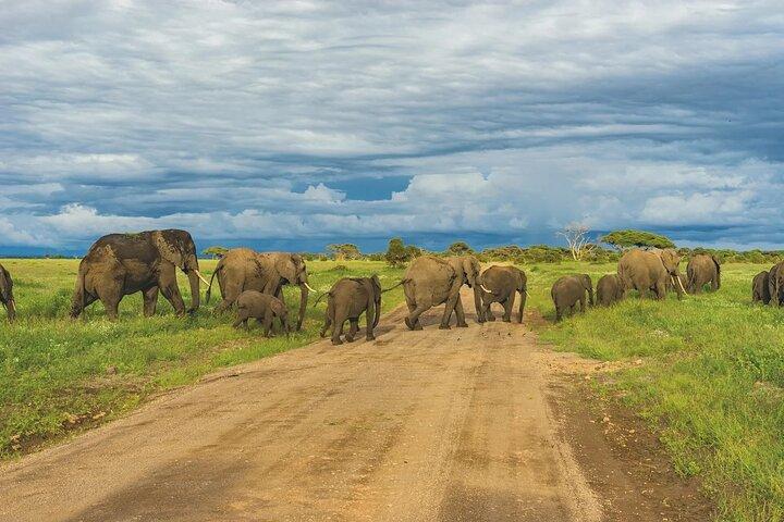 4-Day Safari Adventure in Tanzania