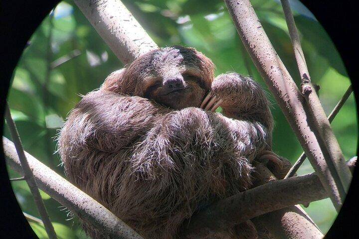 Manuel Antonio National Park guided tour