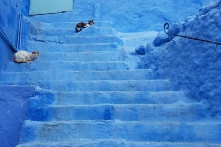 From Fez Day Trip to Chefchaouen