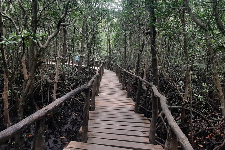Jozani Forest, Kuza Cave, Paje Beach and The Rock Restaurant