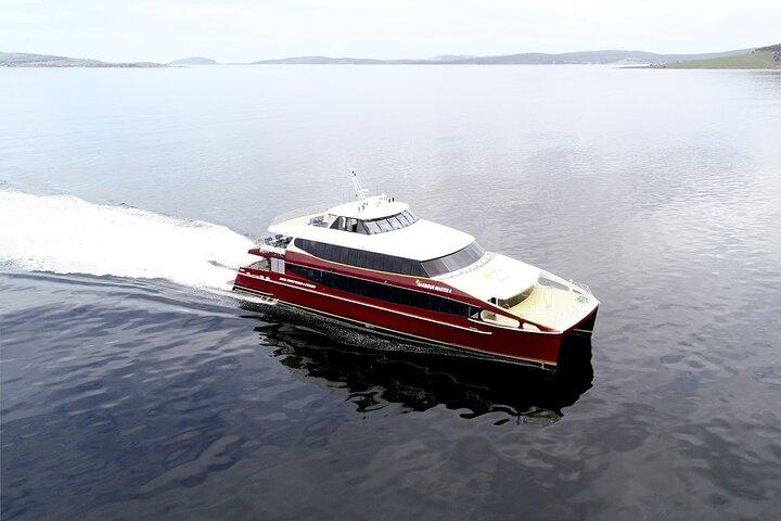 Afternoon Gordon River Dinner Cruise