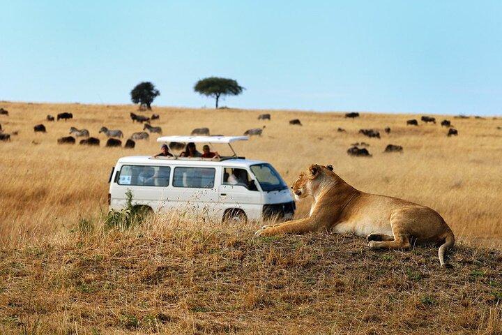 Nairobi National Park Half Day Game Drive within Nairobi