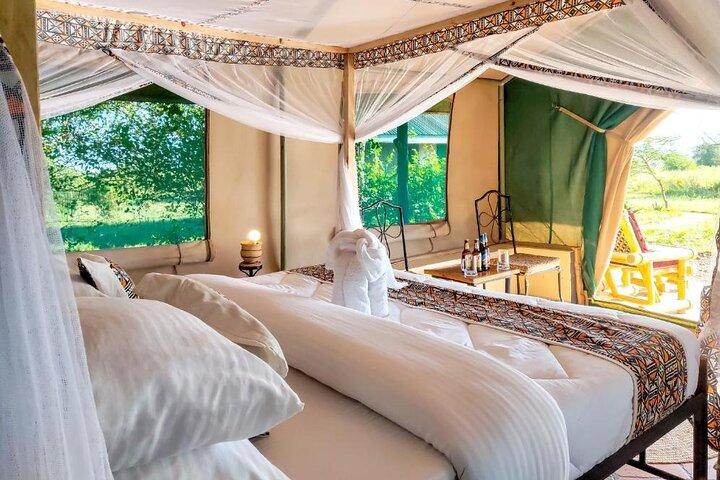 3 Days Selous Nyerere National park safari Boat and Walking