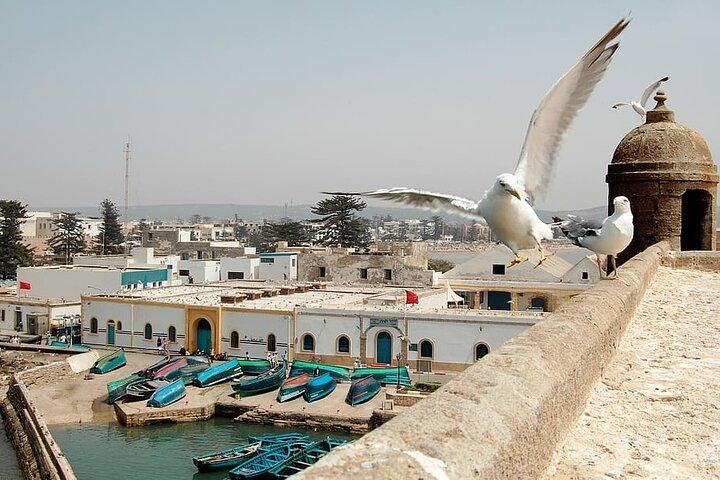 Essaouira Day Trip from Marrakech - Essaouira Day Trip