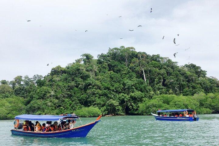 Full-Day Erawan Waterfall and River Kwai Private Guided Tour