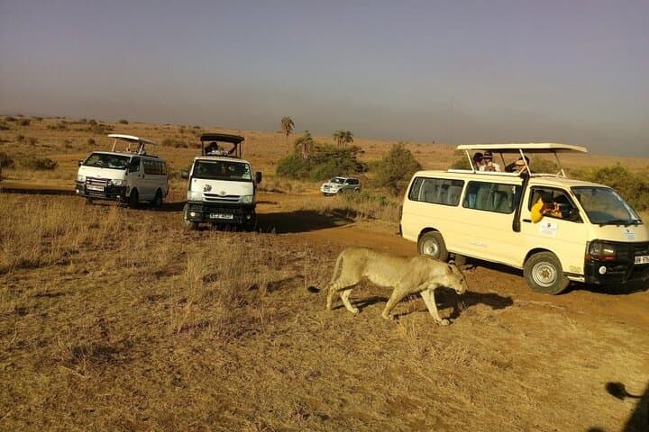 Half Day Guided Tour in Nairobi National Park With 4*4 Vehicle