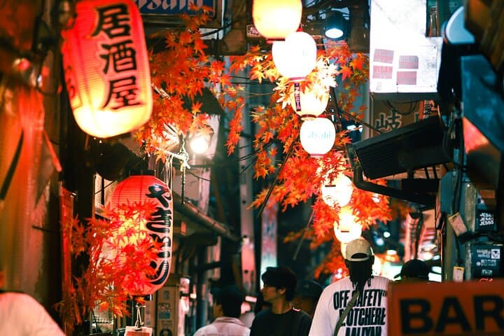 Private Shinjuku Bar Hopping Tour with Guide