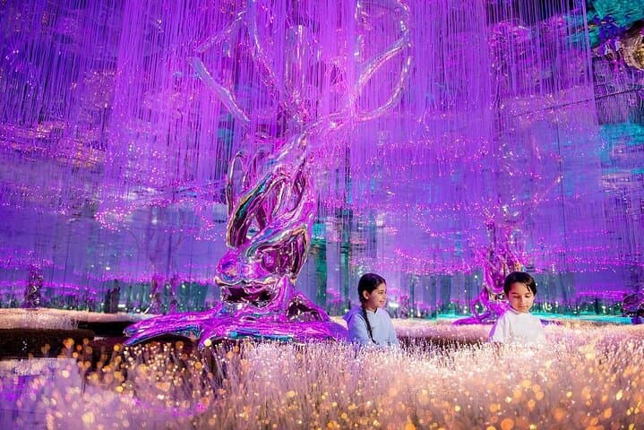 AYA Universe Dubai Tickets with Transfer Option