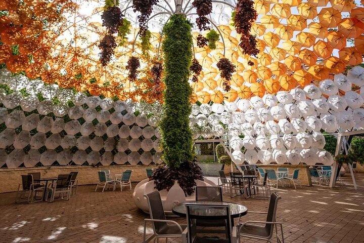 Dubai Miracle Garden Tour with Optional Transportation Services
