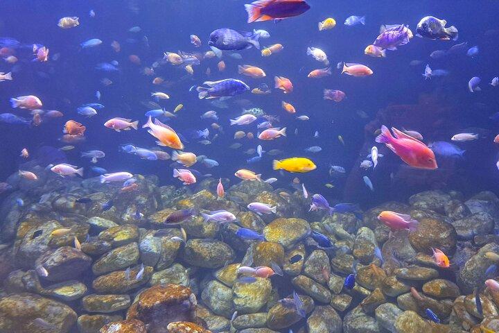 AquaRio and Biopark half-day tour
