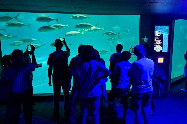 AquaRio and Biopark half-day tour