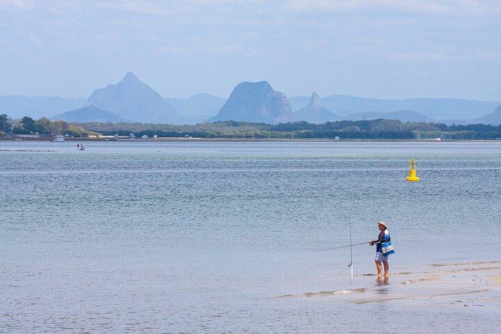 Full Day Birdlife Tour in Bribie Island