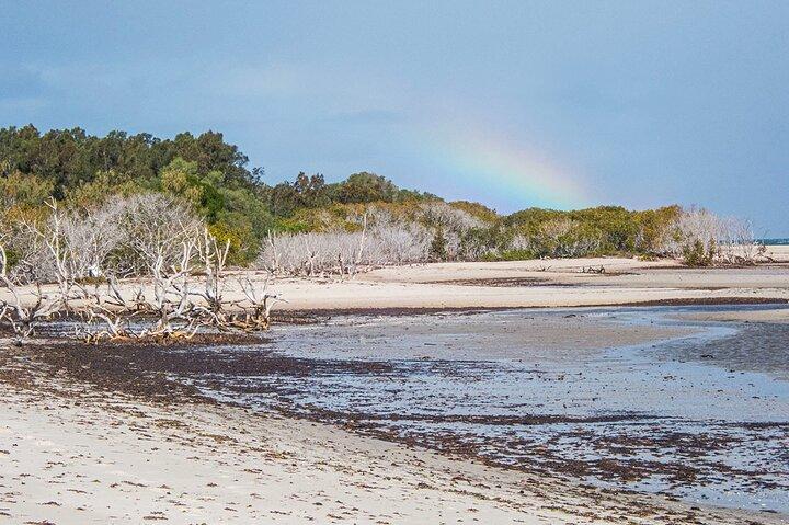 Full Day Birdlife Tour in Bribie Island