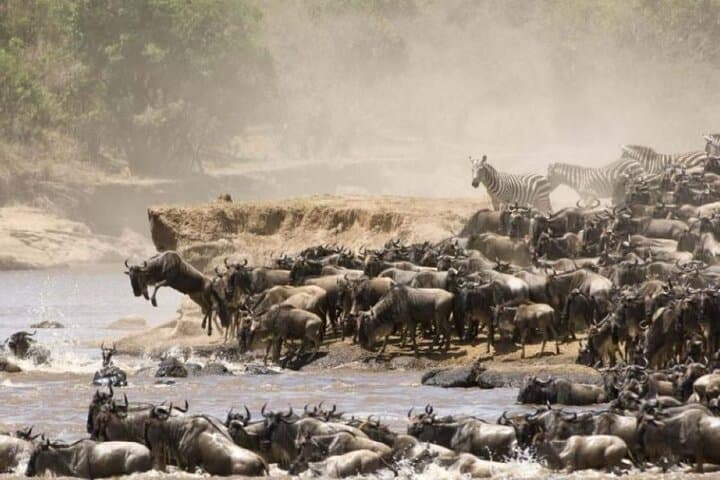 4-Day Group Safari to Maasai Mara & Lake Nakuru- 4 x 4 jeep