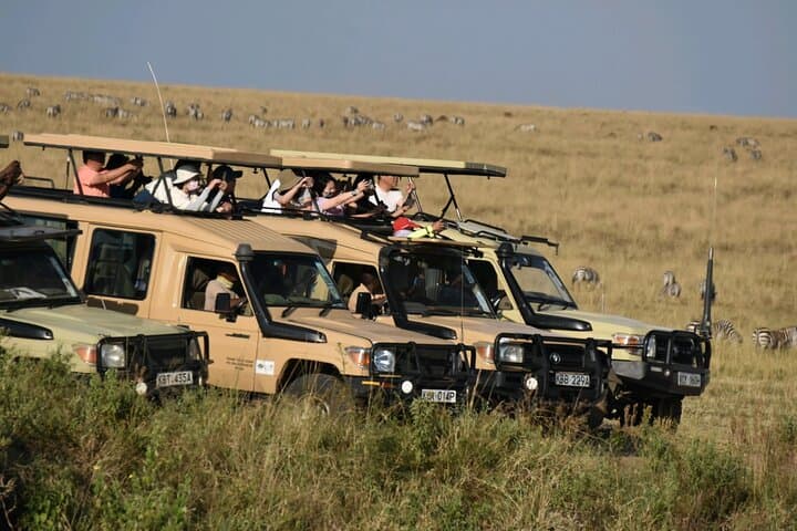 3 Days 2 Nights Maasai Mara Guided Safari Tour