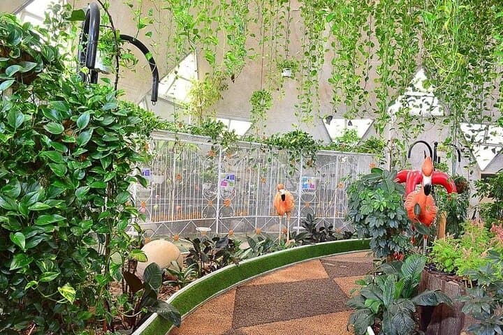 Dubai Miracle Garden and Butterfly Garden with Optional Transport