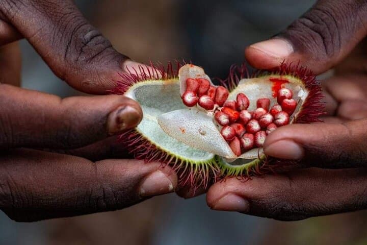 Zanzibar Spice tour