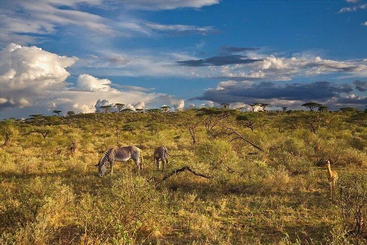 7 Days Big Five Safari Amboseli , Lake Nakuru and Masai Mara