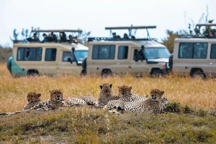 7 Days Big Five Safari Amboseli , Lake Nakuru and Masai Mara