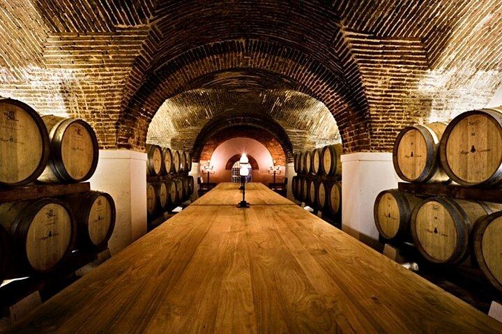 Private Evora & Alentejo Wine Tour from Lisbon - Local Traditions