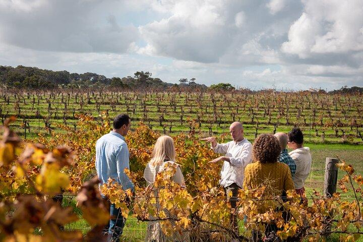 Hidden Gems of Margaret River: Wine, Italian Lunch & Emu Feeding