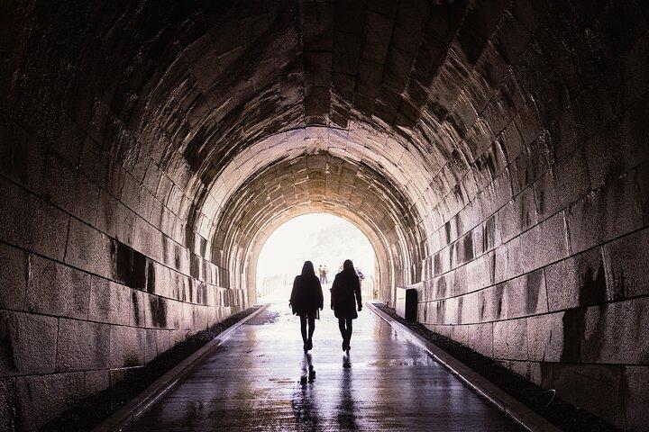 Niagara Underground Tour: Power Station and Tunnel Under Falls