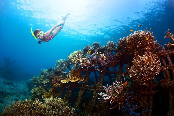 Best Bali Snorkeling at Blue Lagoon Beach: All-Inclusive