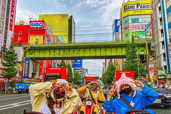 Official Street Go-Kart Tour - Akihabara
