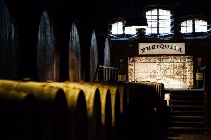 Azeitão Private Wine Tour from Lisbon – Premium Wineries