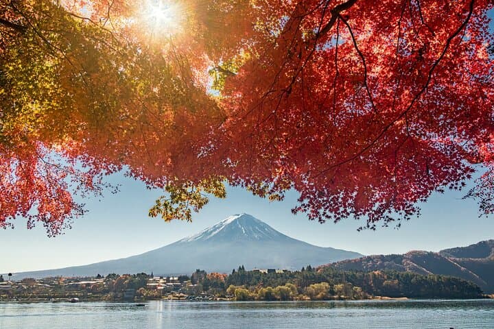 Lake Kawaguchi ⇔ Tokyo Bus Tickets