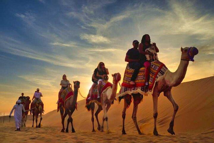 Doha Private Half-Day Guided Desert Safari Tour