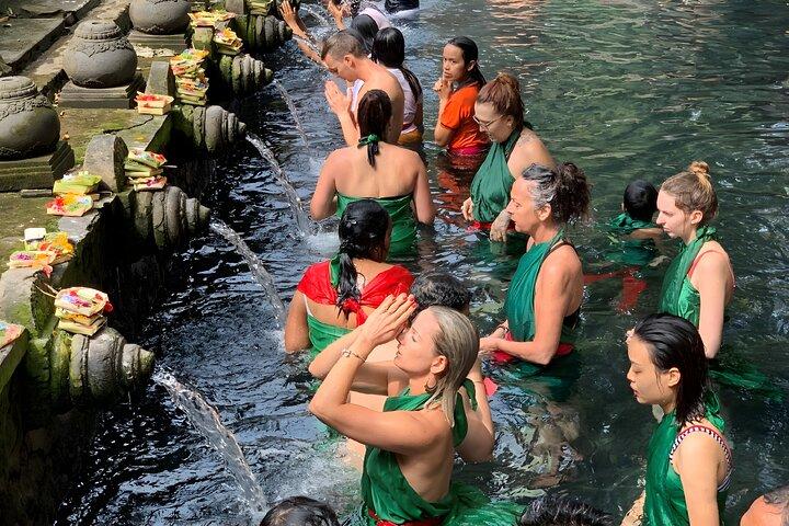 Bali Full Day-Tour: Ubud Sightseeing Trip