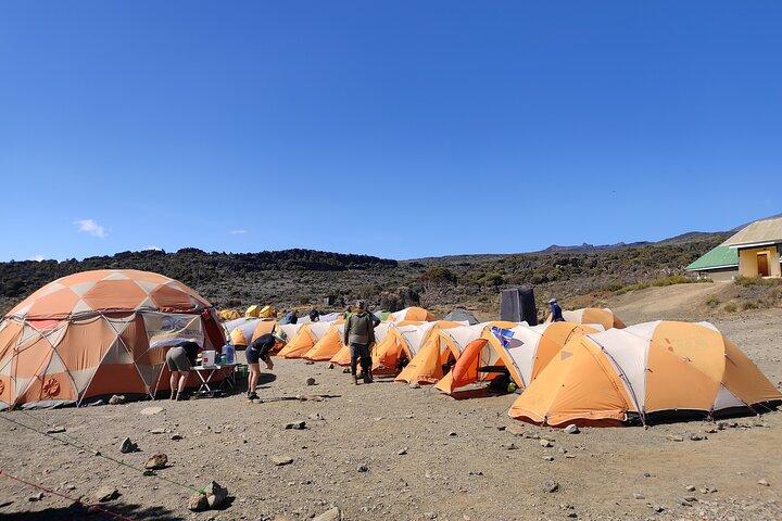 8 Days Mount Kilimanjaro Climb Lemosho route
