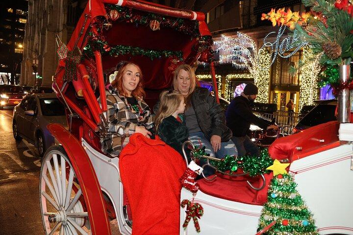 Christmas Light Private Carriage Ride New York City