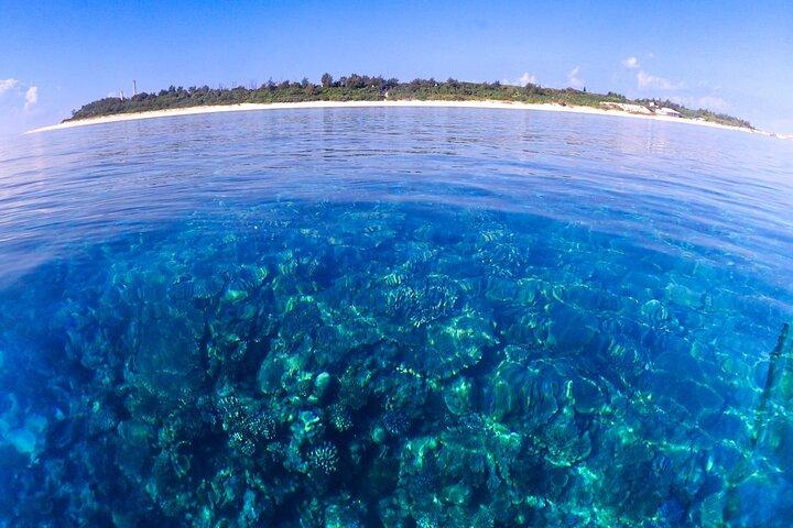 Okinawa: Scuba Diving Tour with Wagyu BBQ Lunch and English guide