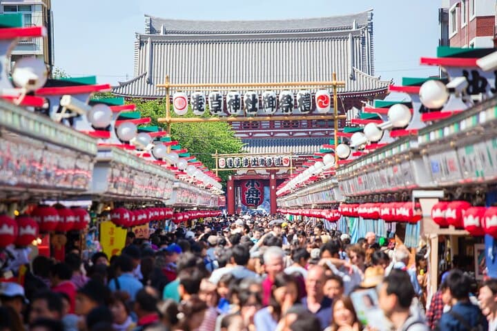Full Day Private Shore Tour in Tokyo from Tokyo Cruise Port