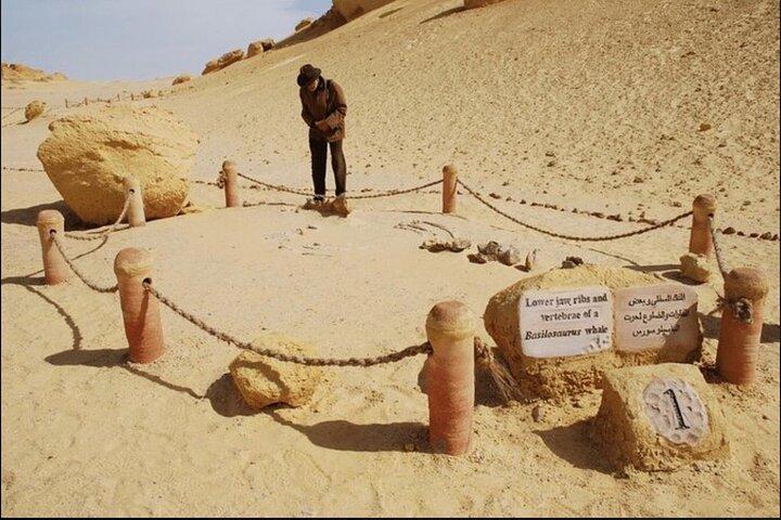 From Cairo to Whales Valley and Wadi El Rayan Waterfalls