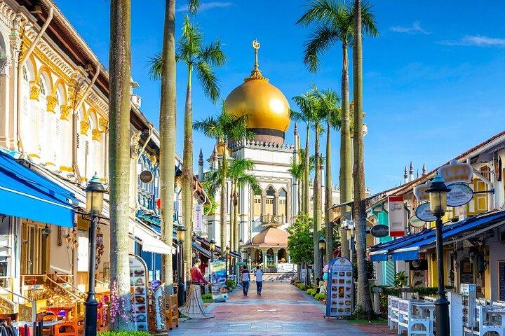 Half Day Private Guided Tour through Singapore's Iconic Landmarks