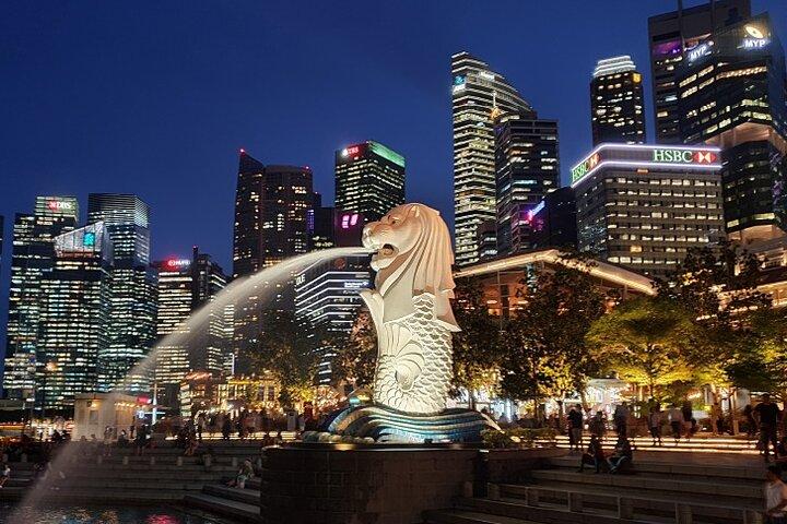 Half Day Private Guided Tour through Singapore's Iconic Landmarks