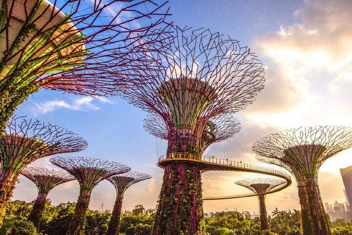 Half Day Private Guided Tour through Singapore's Iconic Landmarks