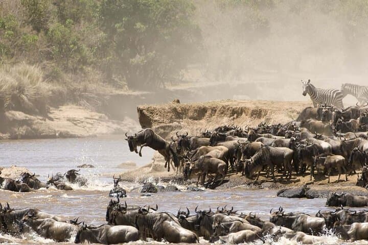 3 Days 2 Nights Private Budget safari to Maasai Mara