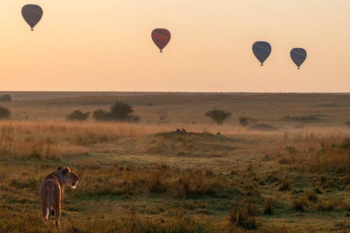 2 Days Private Safari To Maasai Mara National Reserve