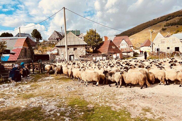 LUKOMIR VILLAGE HIKE & TREK TOUR (nature, hike, food & panorama)