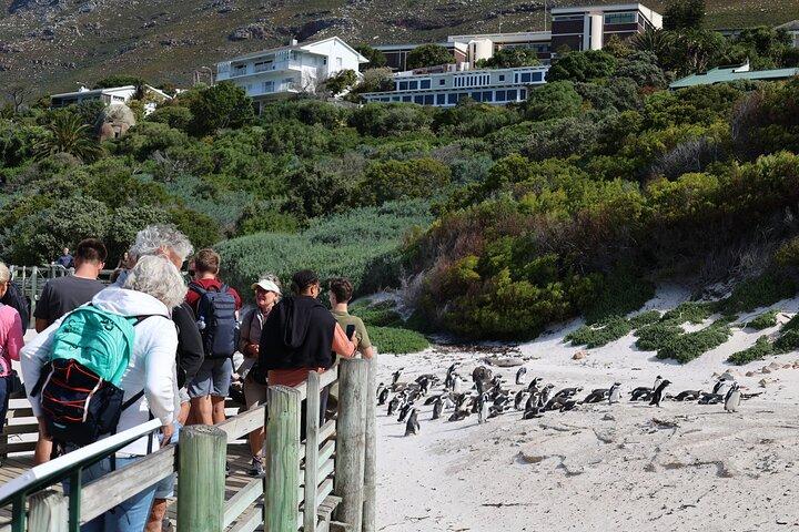 Cape Town: Cape of Good Hope, Table Mountain & Wine Tasting Tour