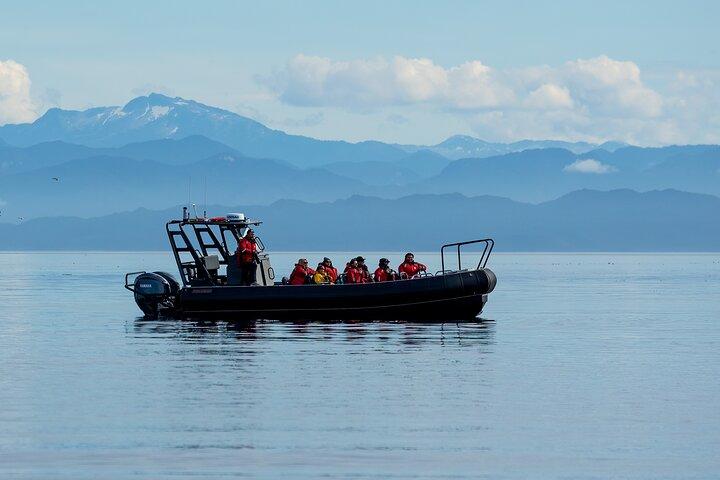 Sea Otter and Whale Watching Tour on Northern Vancouver Island