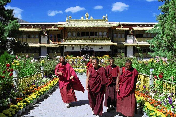 Private Guided Dharamshala Tour with Scenic Views & Lunch