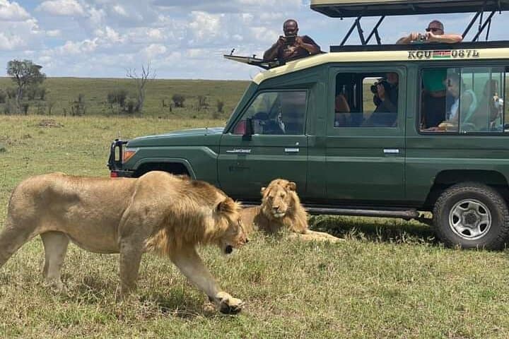Full Day tour to Lake Nakuru National Park From Nairobi
